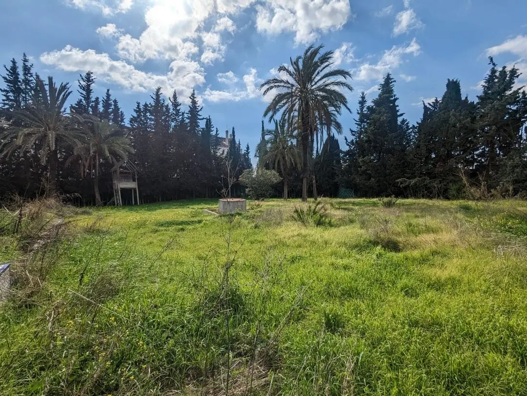 Plot Marbella — 1