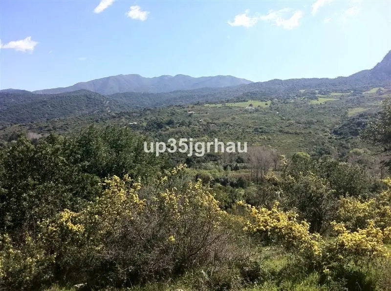 Plot Gaucín — 1