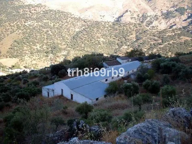 Commercial Ronda — 1