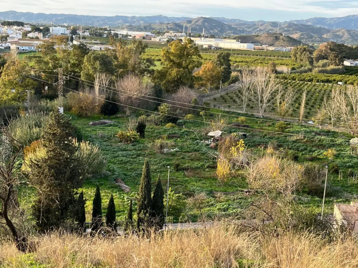 Plot Campanillas — 1