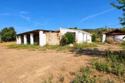 Plot Coín — 5