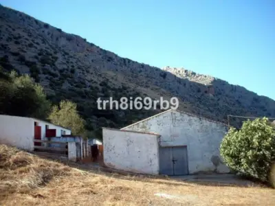 Commercial Ronda — 3