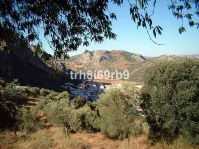 Commercial Ronda — 5