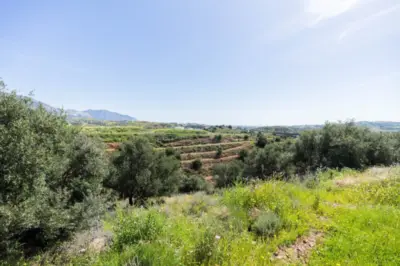 Plot Mijas — 2