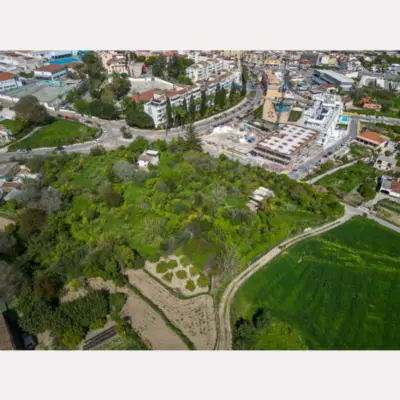 Plot Coín — 3