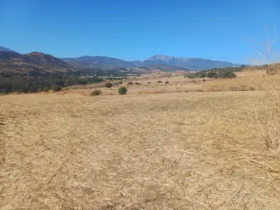 Plot Coín — 4