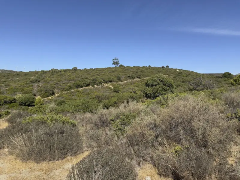 Property — Costa del Sol · Casares