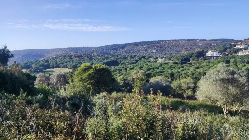 Elevated plot with uninterrupted golf and lake vie... — Costa del Sol · Sotogrande