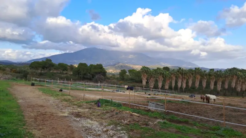 Property — Costa del Sol · Campo Mijas
