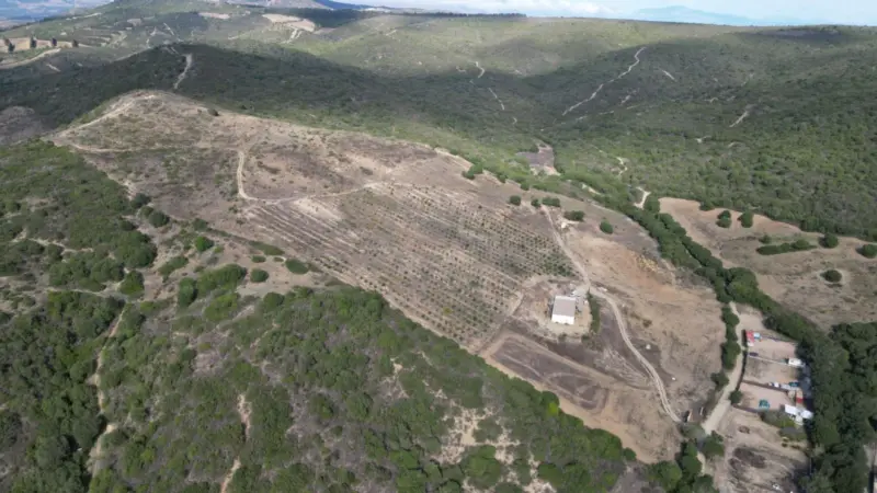 Non-developable rural land of 10 hectares, of whic... — Costa del Sol · Manilva