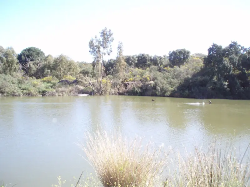 Fantastic finca in Mijas, just next to the Urbanis... — Costa del Sol · Mijas