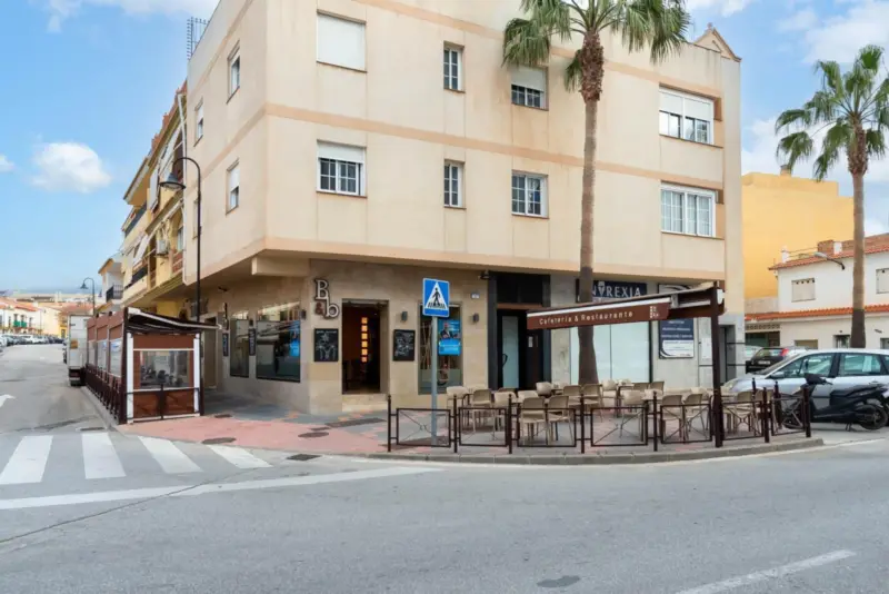 Property — Costa del Sol · Las Lagunas