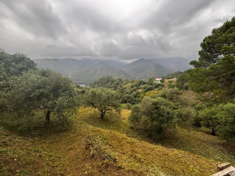 Property — Costa del Sol · Istán