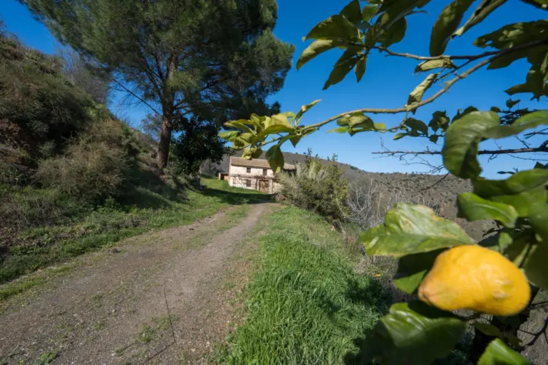 Property — Costa del Sol East · Colmenar