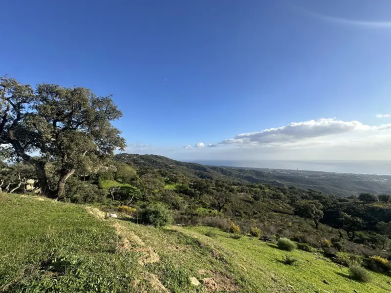 Property — Costa del Sol · La Mairena
