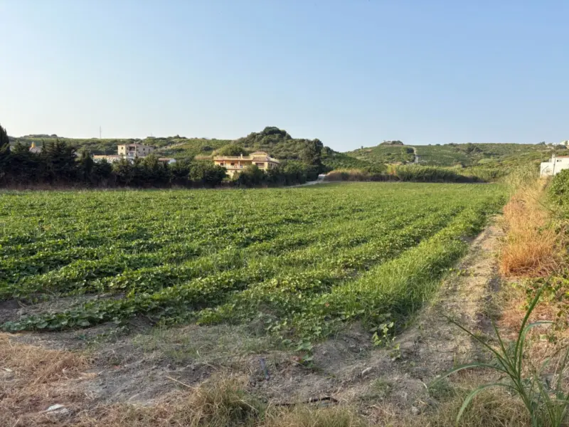 Magnificent 9,900 m² plot just 2 minutes from Sabi... — Costa del Sol · Casares
